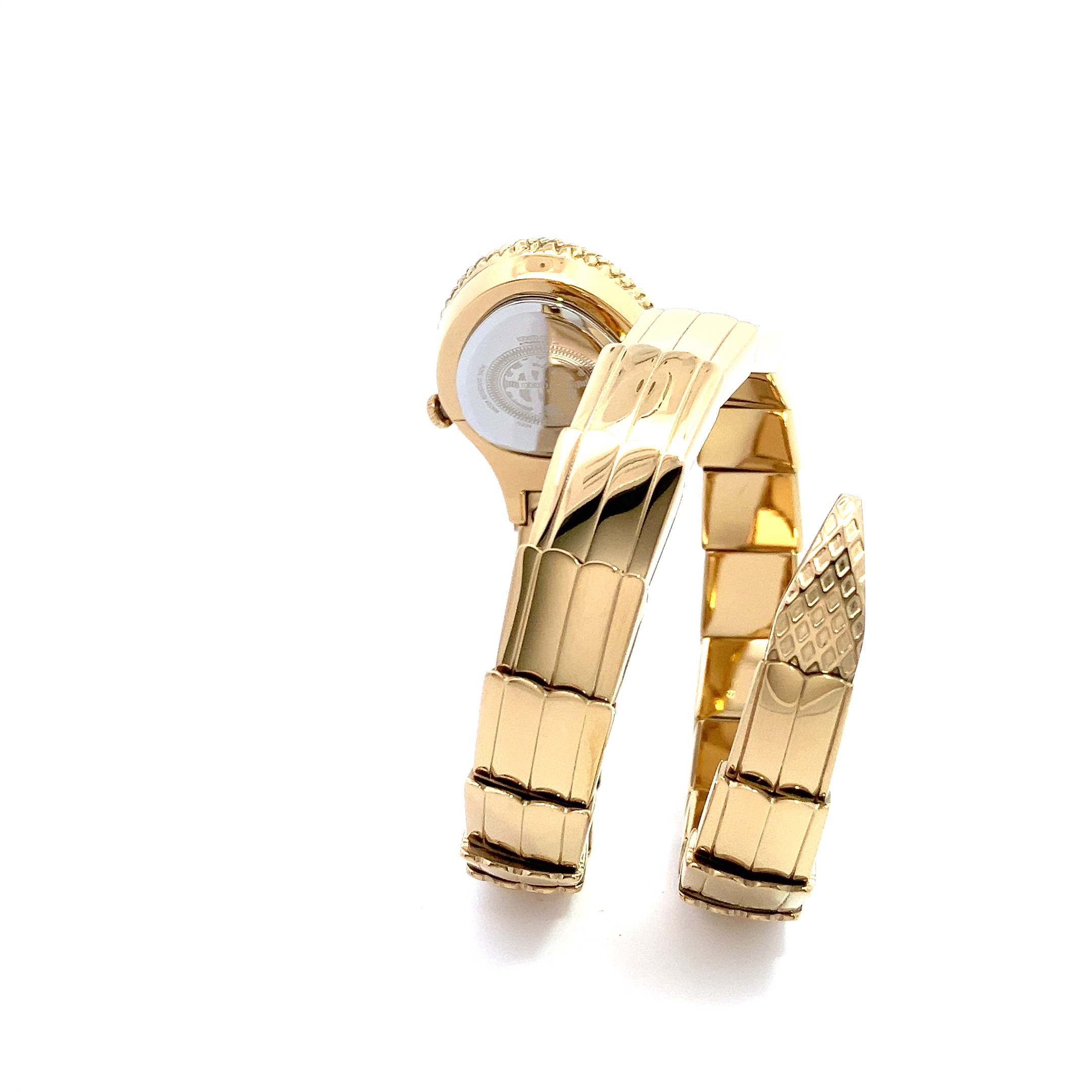 ロベルトカヴァリ バイ フランクミュラー ガルガドット RV1L201M0021