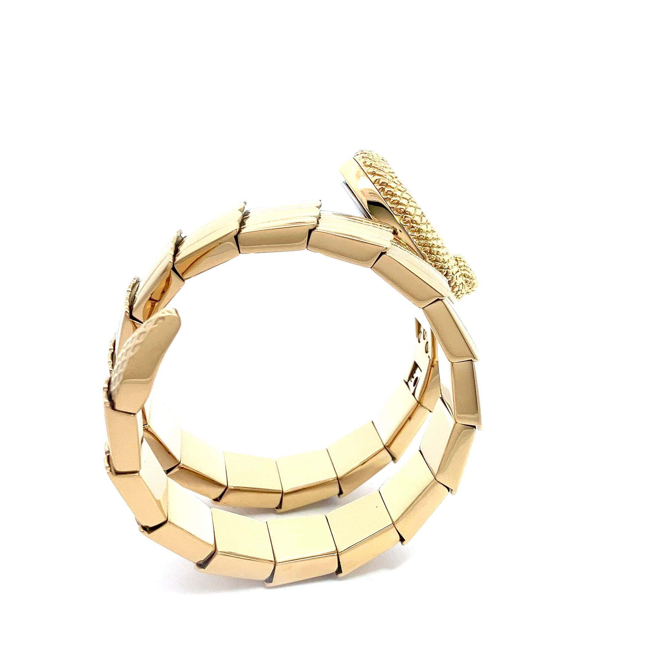 ロベルトカヴァリ バイ フランクミュラー ガルガドット RV1L201M0021