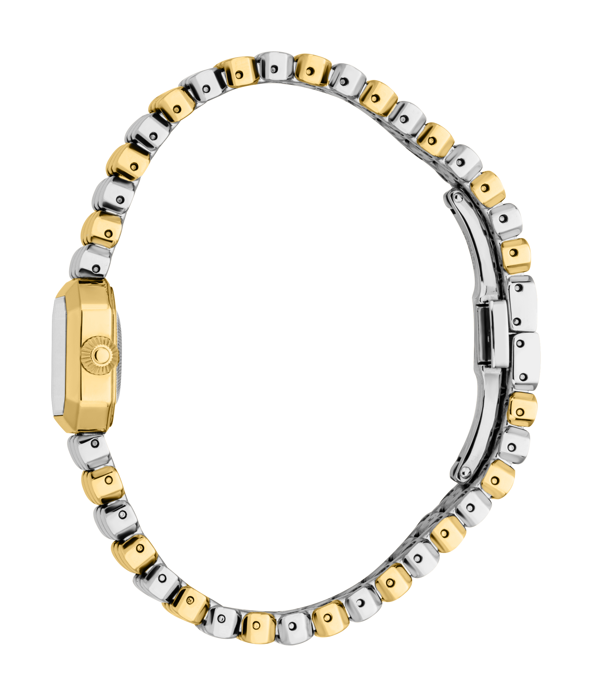 ロベルトカヴァリ バイ フランクミュラー RV1L255M0041 | WATCH WORLD