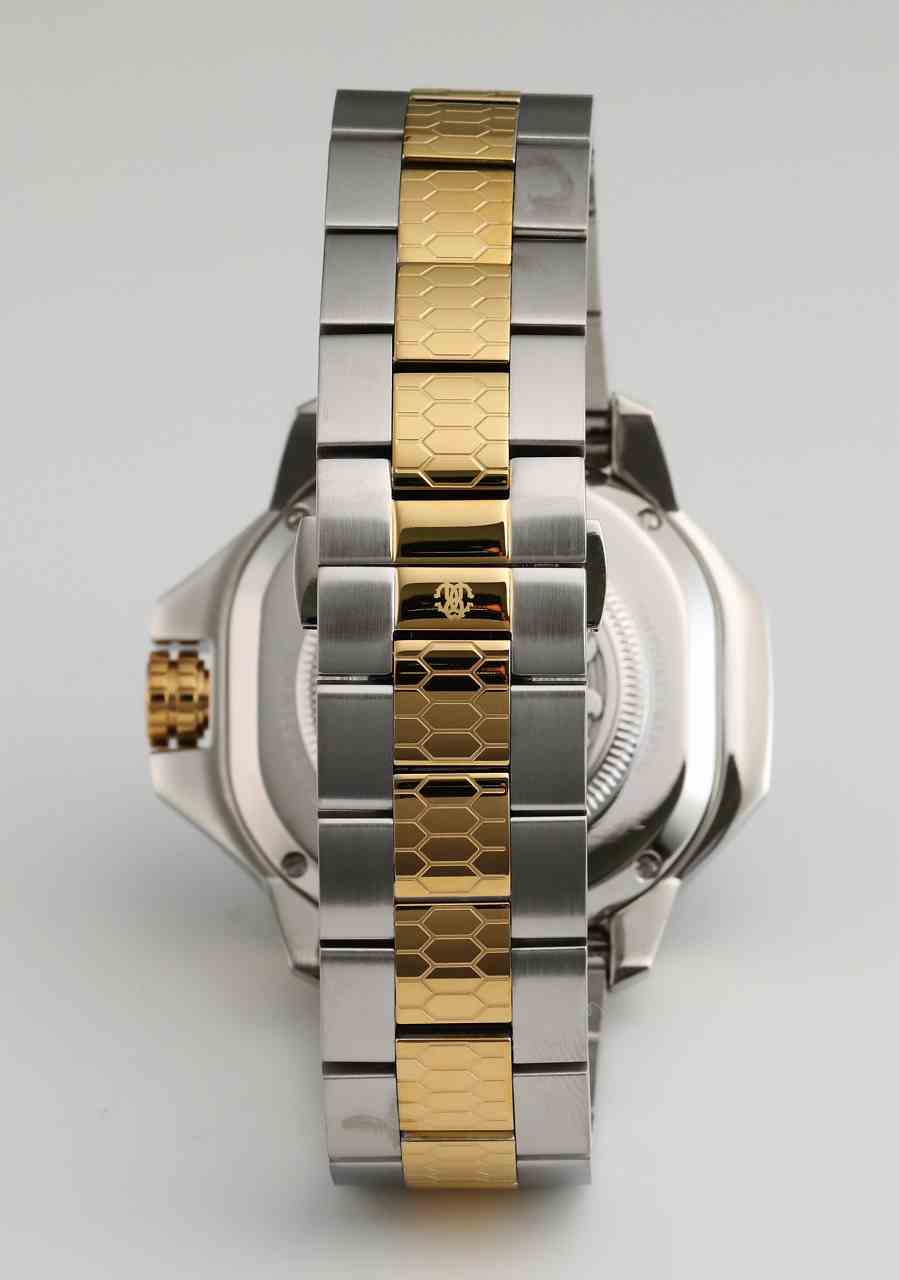 ロベルトカヴァリ バイ フランクミュラー RV1G104M0091 | WATCH WORLD