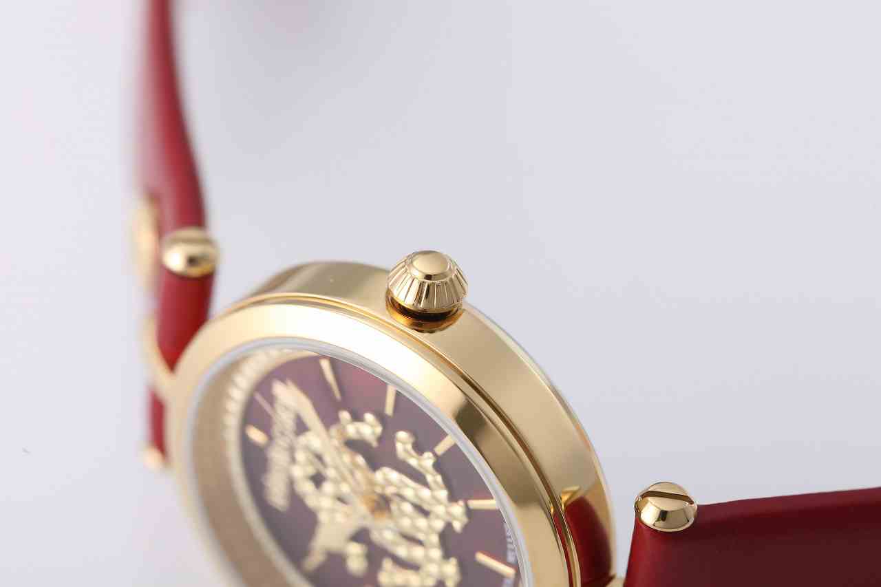 ロベルトカヴァリ バイ フランクミュラー RV1L074L0026 | WATCH WORLD