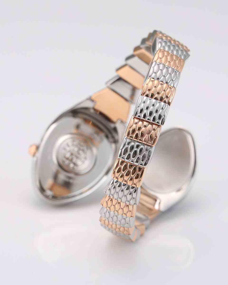 ロベルトカヴァリ バイ フランクミュラー RV1L081M0071 | WATCH