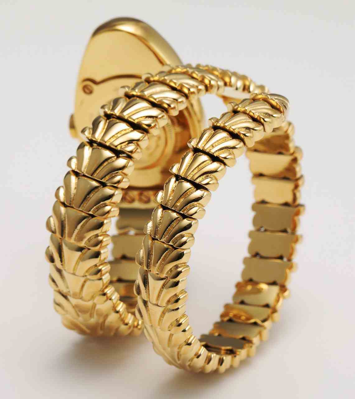 ロベルトカヴァリ バイ フランクミュラー RV1L115M0031 | WATCH WORLD