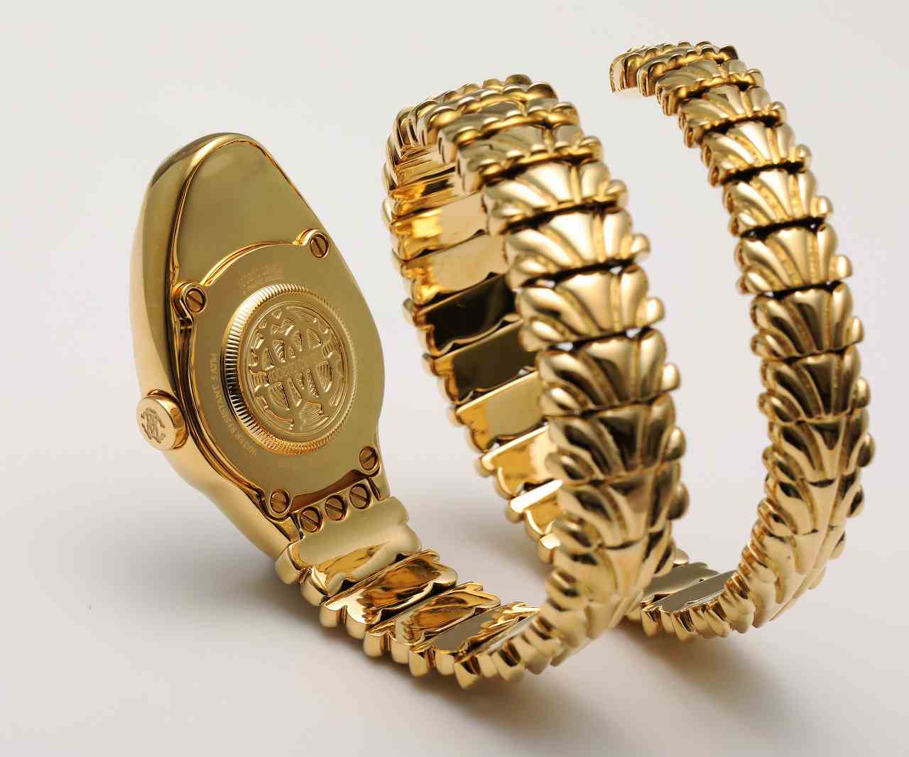 ロベルトカヴァリ バイ フランクミュラー RV1L115M0031 | WATCH WORLD