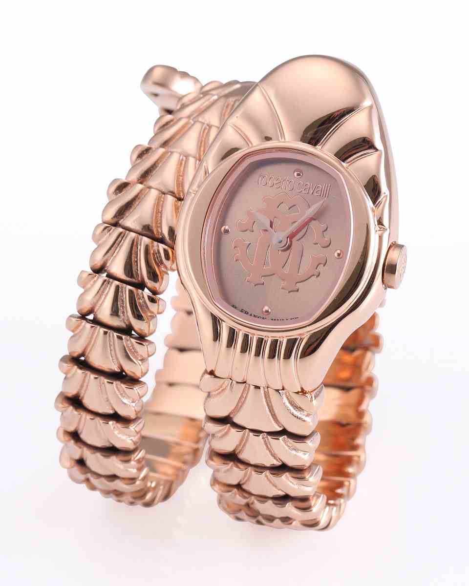 ロベルトカヴァリ バイ フランクミュラー RV1L115M0051 | WATCH WORLD