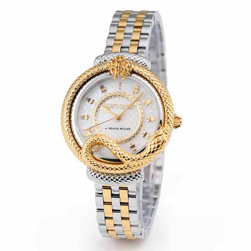 ロベルトカヴァリ バイ フランクミュラー RV2L036L0031 | WATCH WORLD