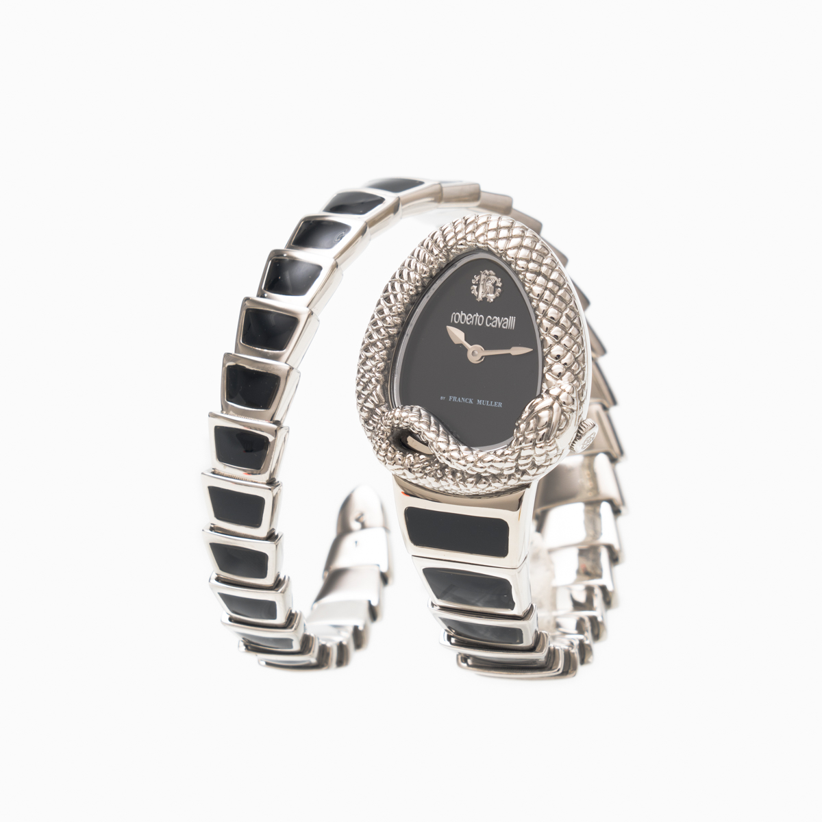 ロベルトカヴァリ バイ フランクミュラー RV2L024L0011 | WATCH WORLD