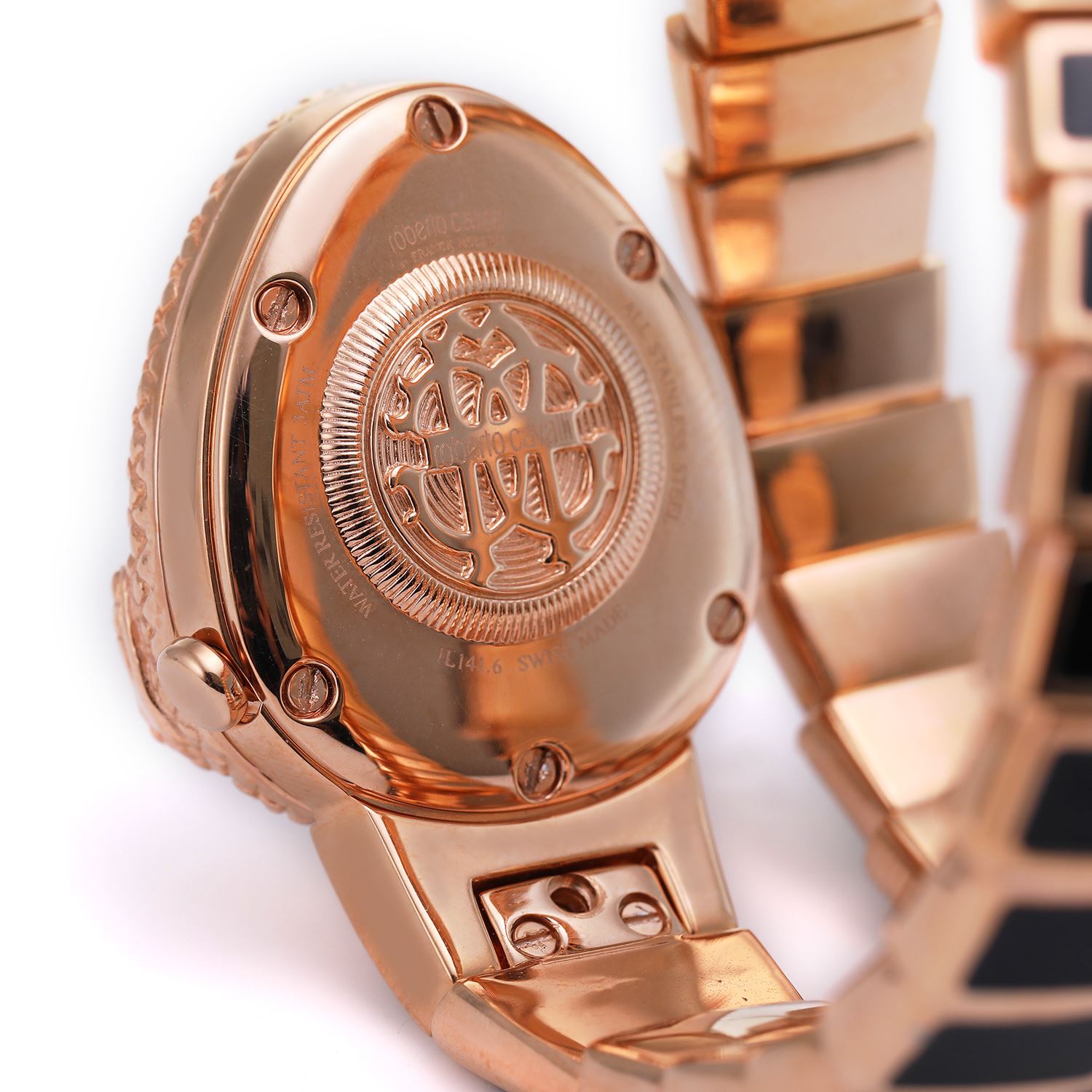 ロベルトカヴァリ バイ フランクミュラー RV1L141M0061 | WATCH WORLD