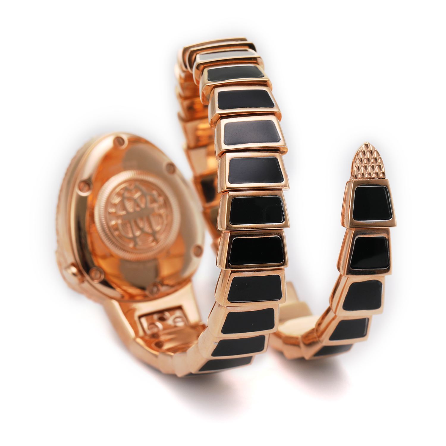 ロベルトカヴァリ バイ フランクミュラー RV1L141M0061 | WATCH WORLD