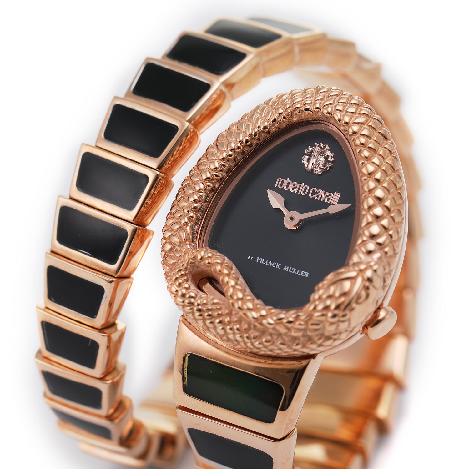 ロベルトカヴァリ バイ フランクミュラー RV1L141M0061 | WATCH WORLD