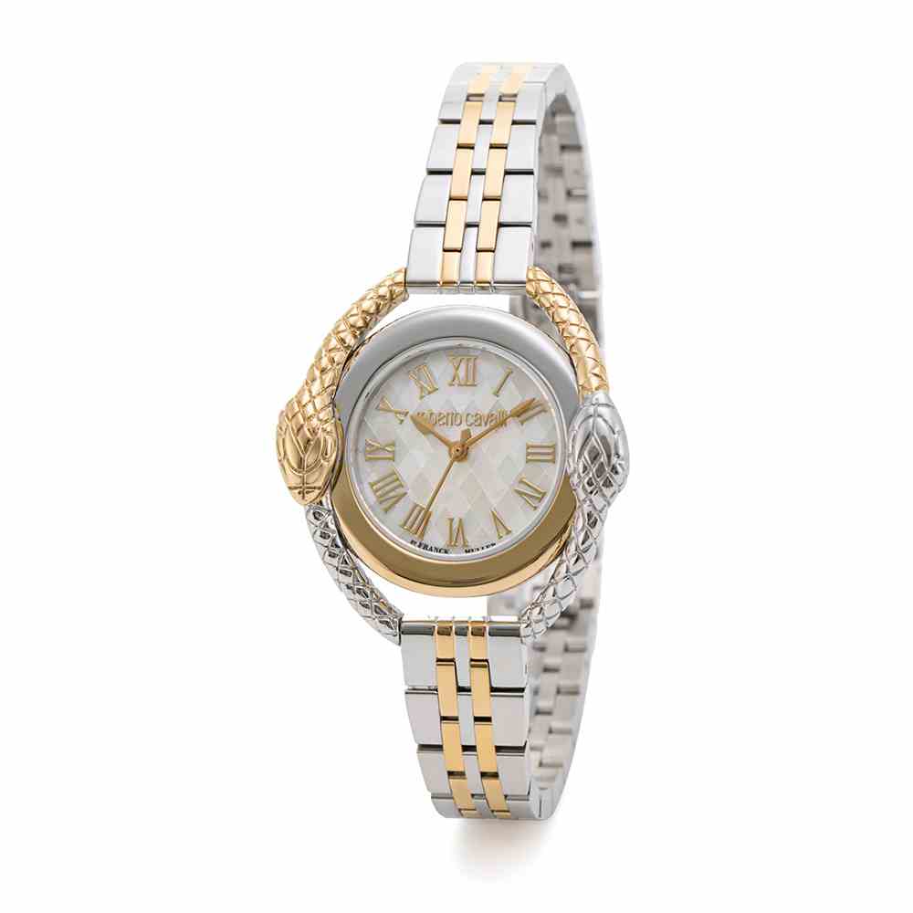 ロベルトカヴァリ バイ フランクミュラー RV2L068L0031 | WATCH