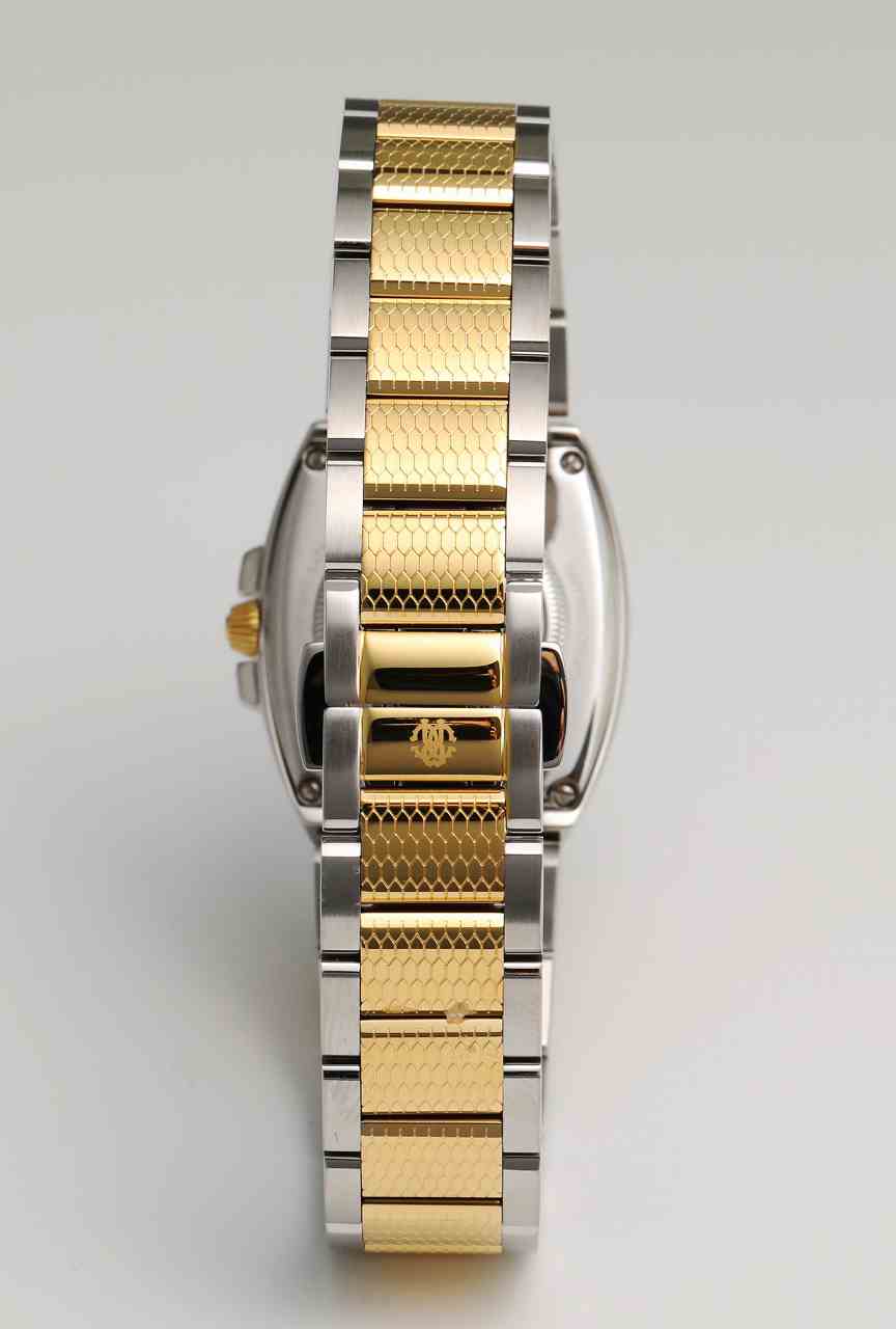 ロベルトカヴァリ バイ フランクミュラー RV2L024M0111 | WATCH WORLD