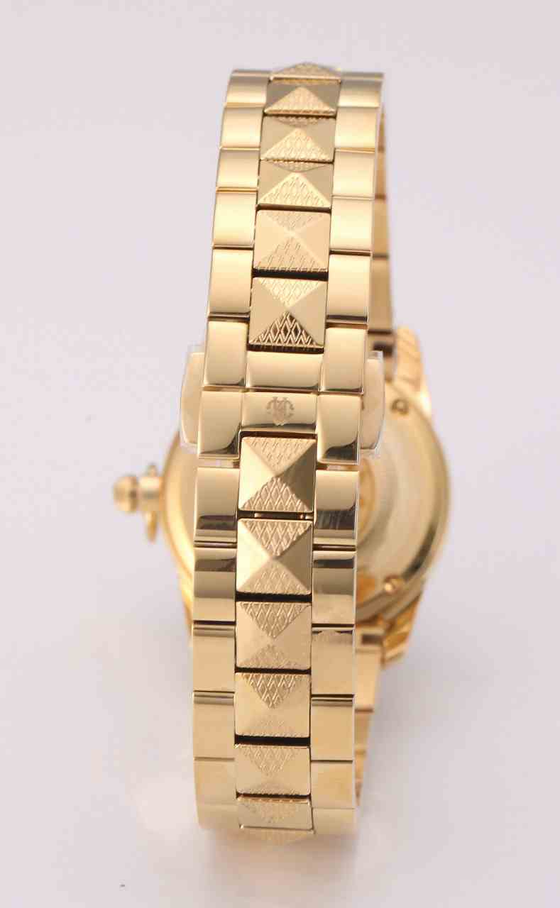 ロベルトカヴァリ バイ フランクミュラー RV2L036M0081 | WATCH WORLD