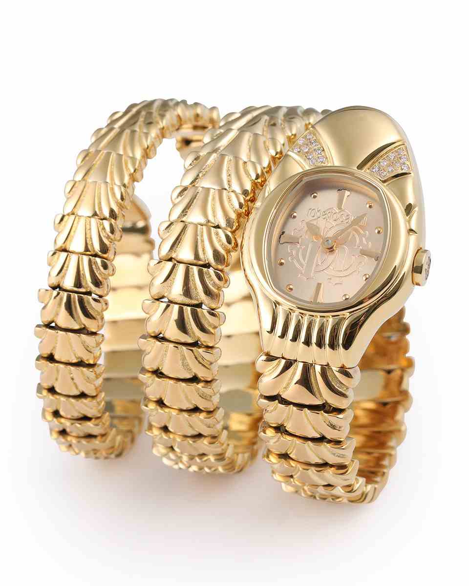 ロベルトカヴァリ バイ フランクミュラー RV2L068L0031 | WATCH WORLD