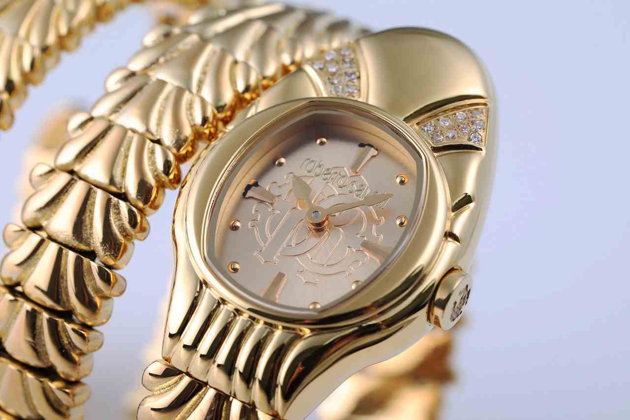 ロベルトカヴァリ バイ フランクミュラー RV2L042M0031 | WATCH WORLD