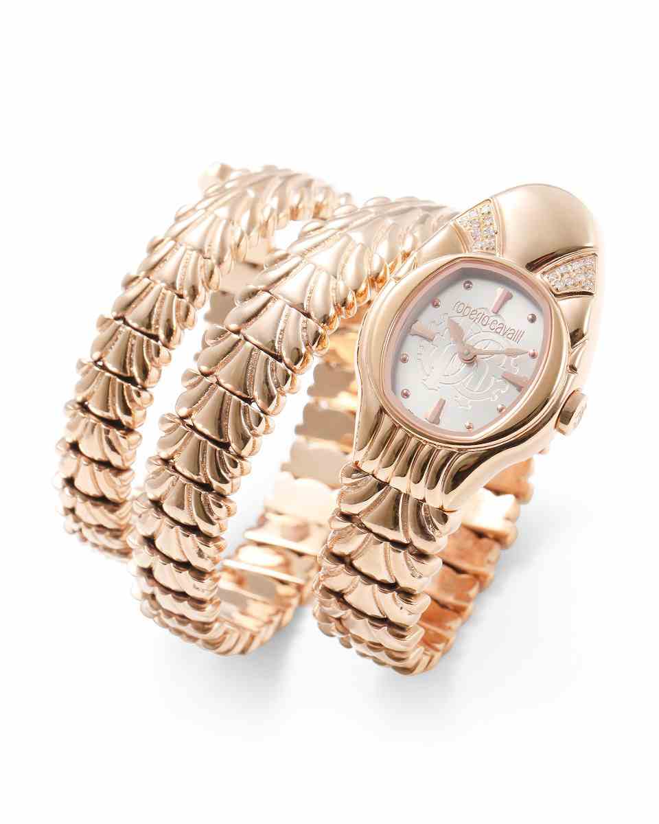 ロベルトカヴァリ バイ フランクミュラー RV2L069L0021 | WATCH WORLD