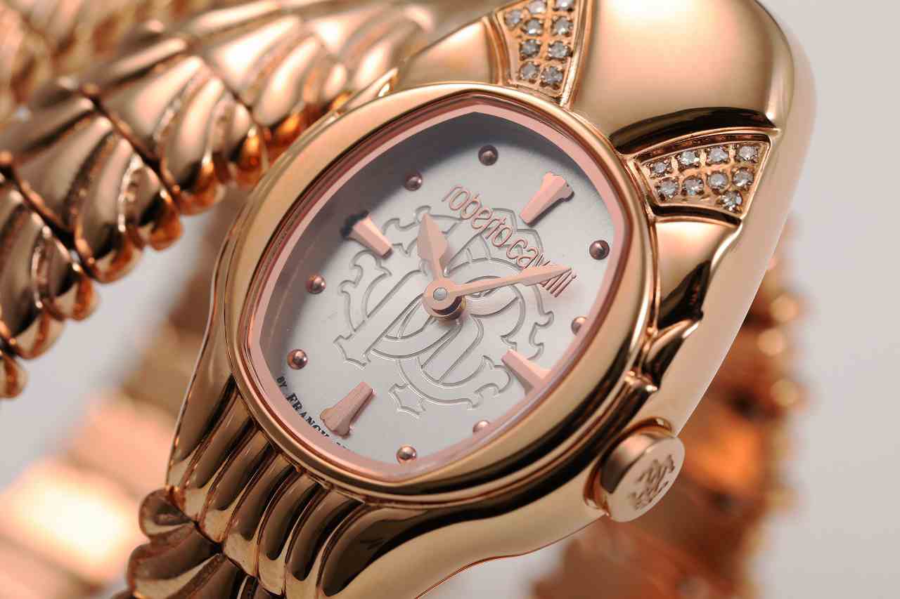 ロベルトカヴァリ バイ フランクミュラー RV2L042M0041 | WATCH WORLD