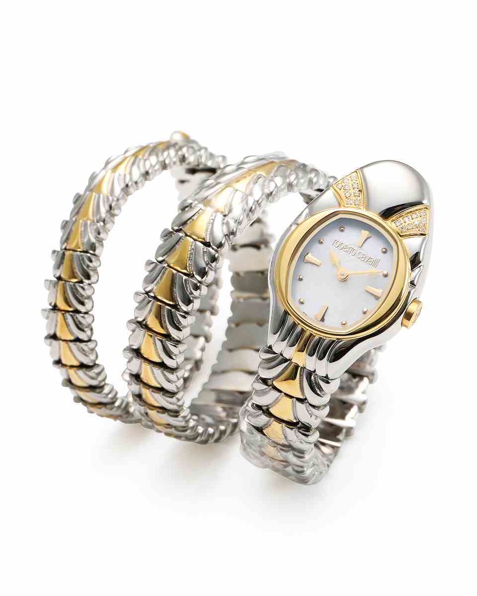 ロベルトカヴァリ バイ フランクミュラー RV2L064M0101 | WATCH WORLD