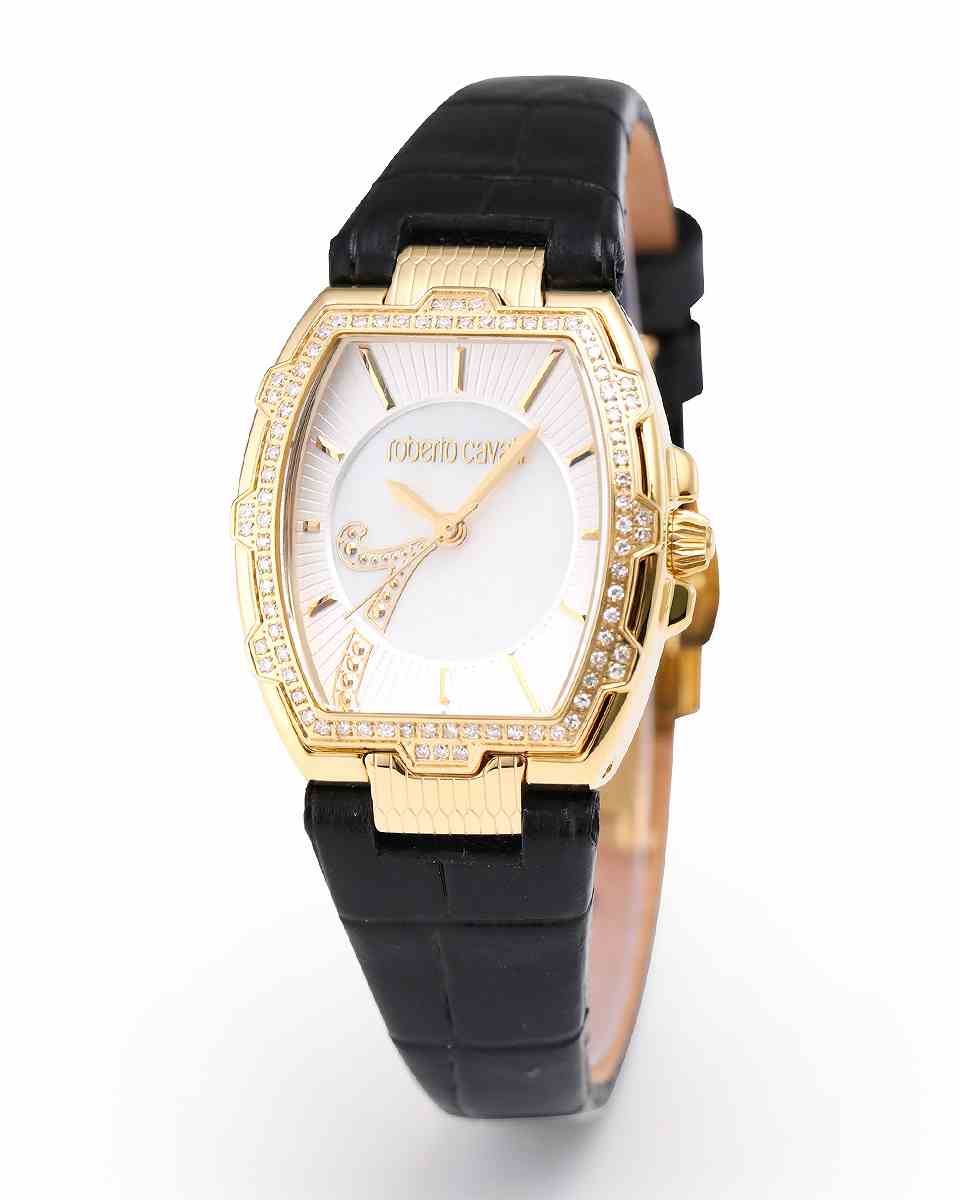 ロベルトカヴァリ バイ フランクミュラー アルパチーノ