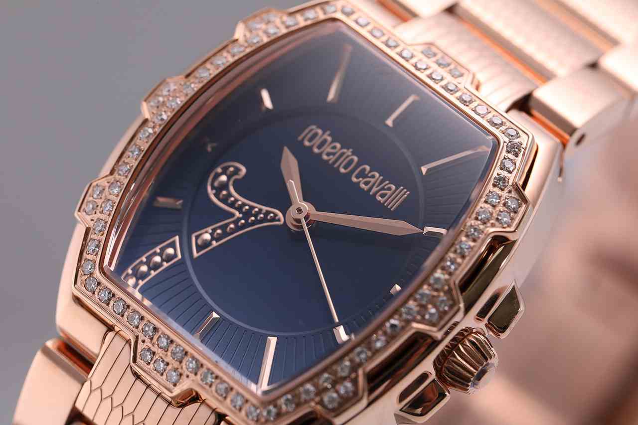 ロベルトカヴァリ バイ フランクミュラー RV2L043M0071 | WATCH WORLD