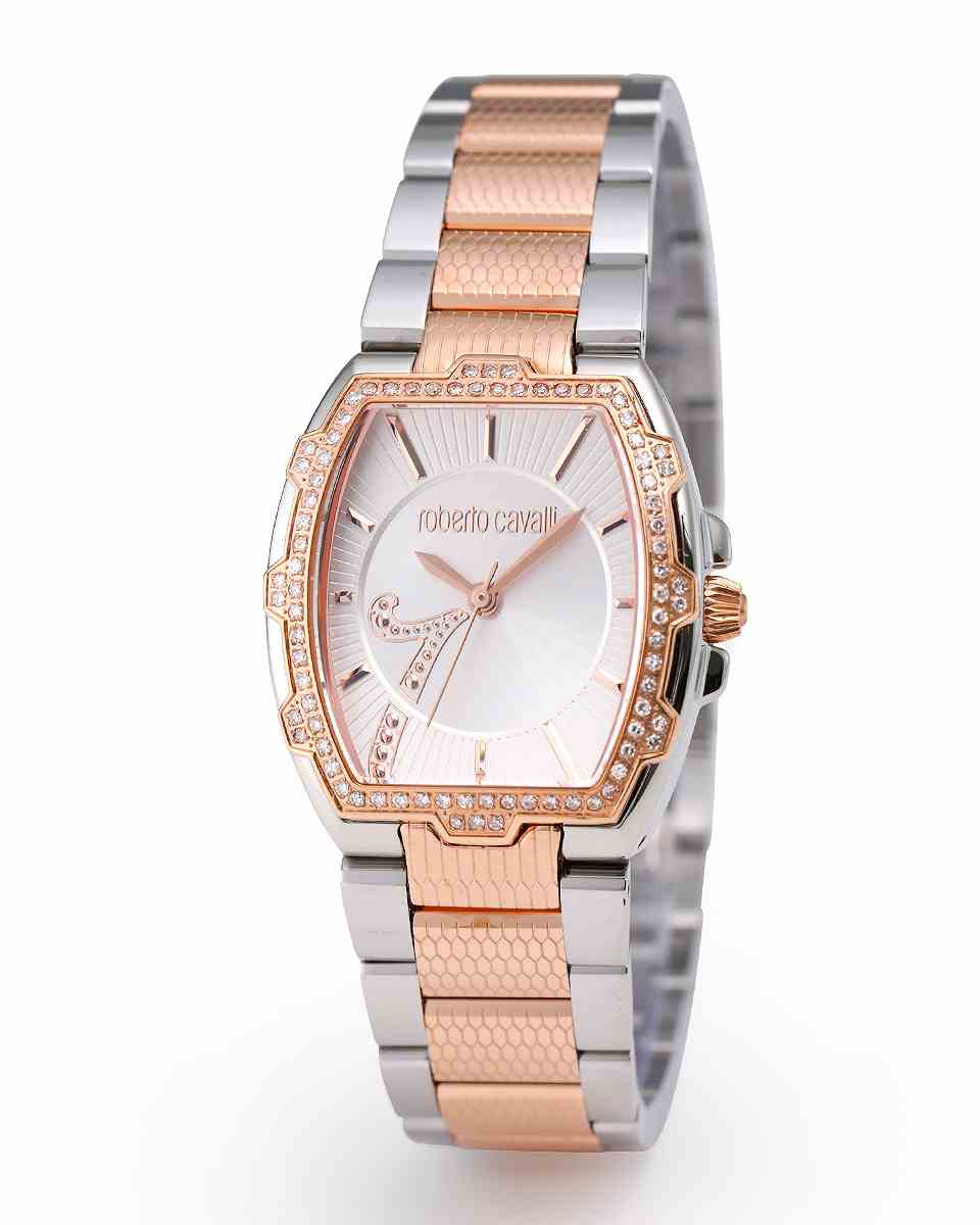 [美品]Roberto Cavalli RV1L069L0031 腕時計 RV2L069L0031 _roberto cavalli by FRANCK MULLER ロベルト