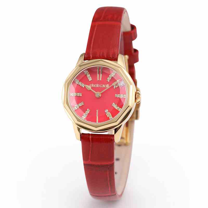 ロベルトカヴァリ バイ フランクミュラー アルパチーノ RV1G248P0041