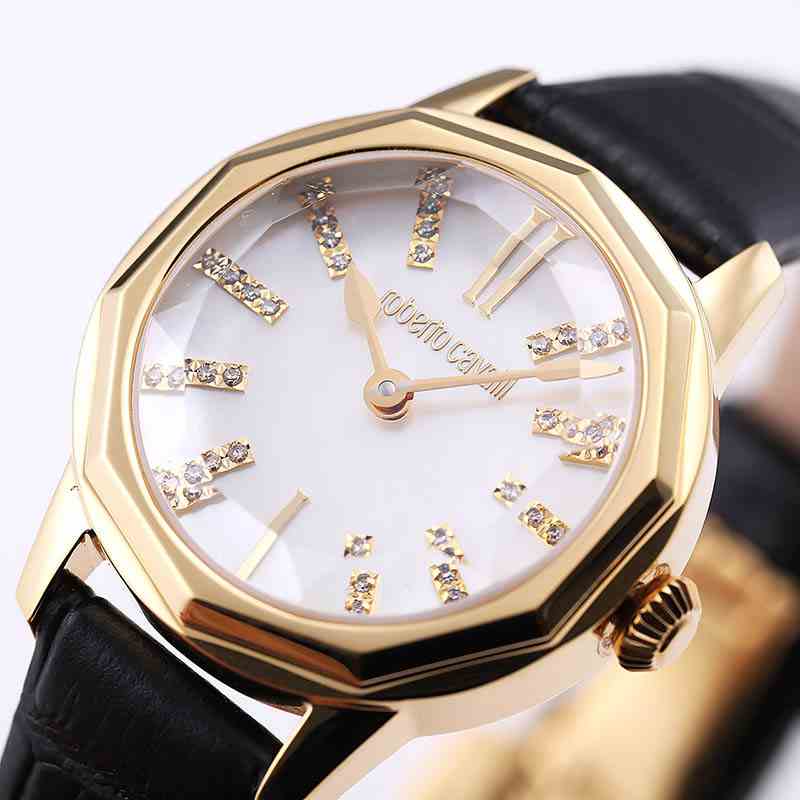 RV2L062L0031 _roberto cavalli by FRANCK MULLER ロベルト カヴァリ バイ フランク ミュラー レディース 腕時計 送料無料 RV2L057L0031 ロベルト・カヴァリ バイ フランク・ミュラー｜ロベルト