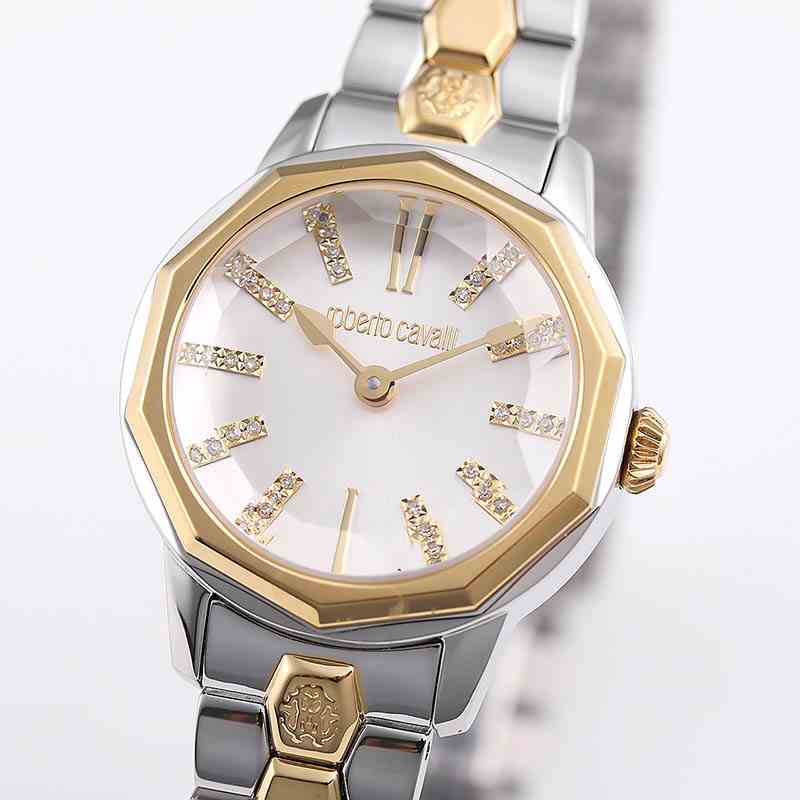 ロベルトカヴァリ バイ フランクミュラー RV2L069L0031 | WATCH WORLD by HANDA Watch World